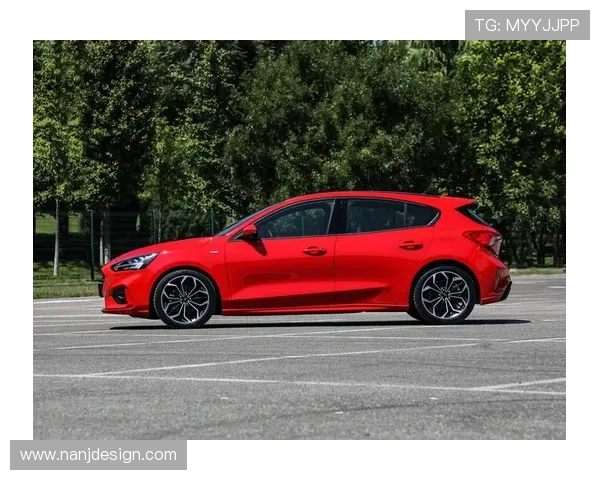 福克斯强调全新阵容需迅速磨合以提升球队竞争力